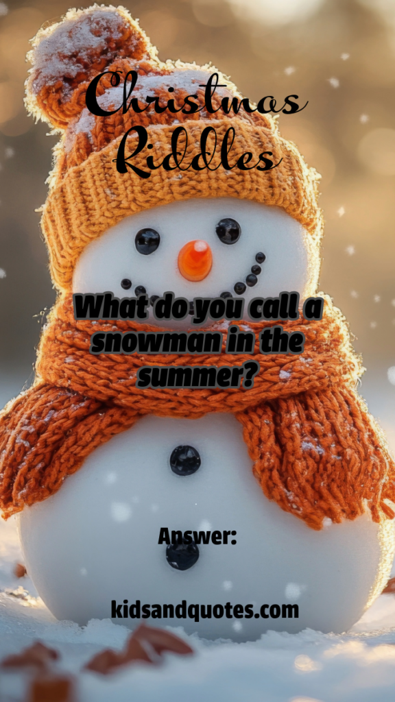 Christmas Riddle - What do you call a snowman in the summer? Answer: A puddle!