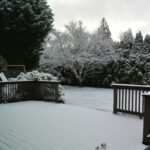 A frozen winter landscape, with trees covered in snow.