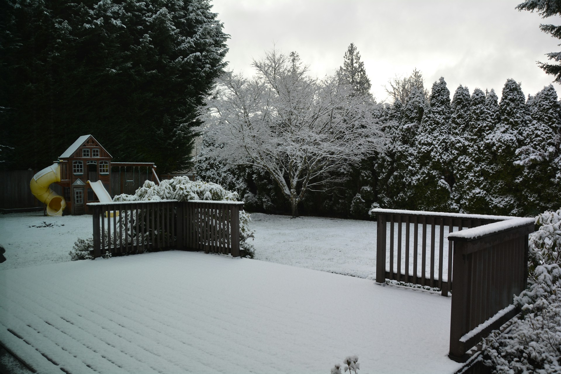 A frozen winter landscape, with trees covered in snow.