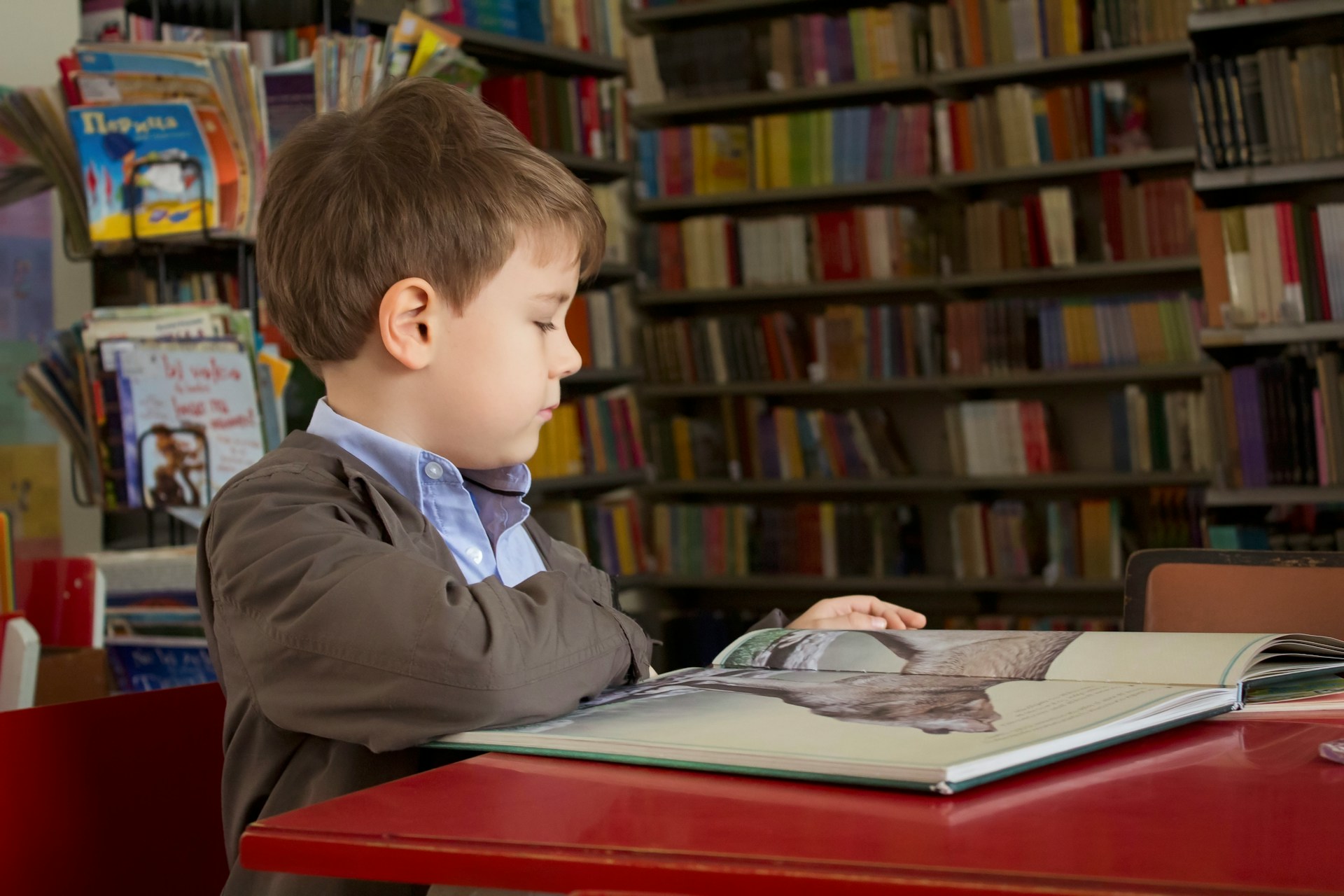 A boy reading in school's library.