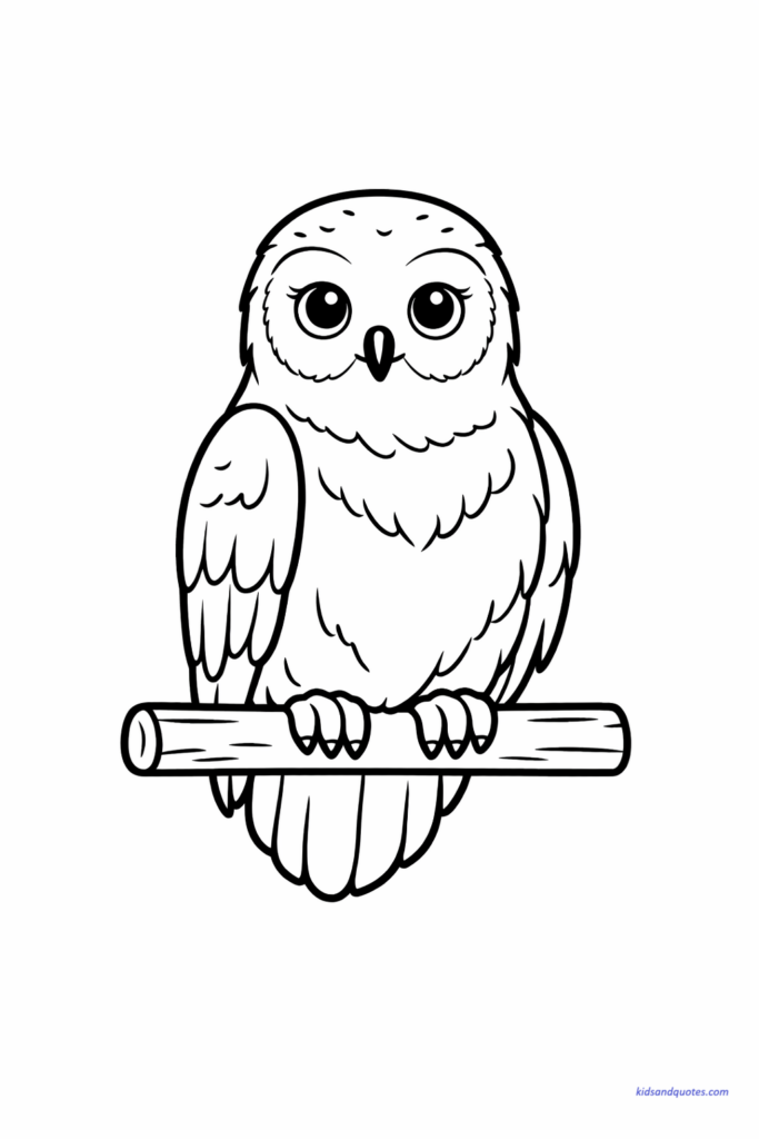 A peaceful Hedwig coloring page featuring Harry Potter’s snowy owl perched quietly, soft eyes and folded wings.